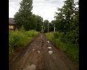 По улице Некрасова дороги нет вообще. Проехать могут только трактора... По улице живут люди пожилые и с маленькими детьми, скорая не может проехать. Тротуарная тропинка проходит только по одной стороне дороги, жители, которые проживают на противоположной стороне, даже к дому пройти не могут.