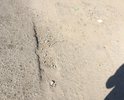 В районе дома №77отсутствует асфальтовое покрытие 2м*1,5м. 
В р-не дома №65 "лежачий полицейский"пришел в негодность, выбоины