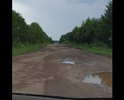 "Хочу поделиться информацией. 19.07.2017 проезжали по трассе в Вологодской области, которая ведет на родину Деда Мороза... О каком туризме может идти речь, когда видишь такое... Это часть трассы между Кичменгско-Городецким и Никольскими районами...Уверена, что такое можешь видеть гораздо чаще..."
