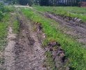 Проблема большая, так как к больным не может проехать скорая, службы экстреннего реагирования!!!Дети ни в школу, ни в садик выйти чистыми не могут!!! Это окраина города, но многого мы не просим:всего лишь щебеночное покрытие. Местные власти каждый год кормят завтраками, а "воз и ныне там".