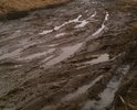 Весной дорога не проездная. Дети не могут пройти пешком до остановки.