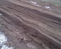 Если в центре худо-бедно дороги ремонтируются, то дорогами на окраинах Константиновска власти совсем не занимаются . Грунтовую дорогу на улице Молодежная от ул. Новая до ул. Вишневая никто не строил, просто накатана проезжающими машинами, соответственно полотно дороги не уплотнено, водоотводы отсутствуют и с первыми дождями и в слякоть глина на дороге раскисает и дорога становится совершенно не проезжей, пройти по ней также невозможно, т.к. пешеходные дорожки также отсутствуют. Составляется рейтинг плохих дорог, но в нашем районе живут в основном пенсионеры, которые интернетом не владеют, что же это значит, что мой один голос за всю многострадальную улицу так и утонет в рейтинге? и никто не придет нам на помощь? Так и сидеть нам невыездными в слякоть?