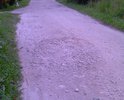 Дорога в деревне Бавыкино Наро-Фоминского района требует ремонта. Нужно не только спрофилировать дорогу грейдером, но и подсыпать щебенки в проблемные места. Просьба помочь жителям деревни и садоводам соседних СНТ "Семья", "Радуга" и "Огонек".