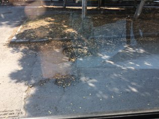 None, Рождественский переулок