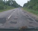 Ямы заделали асфальтом, где были провалы, там стали бугры. Ничего не поменялось- как была стиральная доска, так и осталась. Оценка дорожникам 2 балла из пяти. Позор!