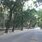 улица Горького