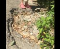 Многие годы состояние дороги ужасающее. Очень много глубоких ям. На машине можно проехать с трудом, в следствии этого такси ехать отказывается, мамам с колясками просто не осилить прогулку с детьми, старики бояться вызывать Скорую Помощь, зная что она не доедет! Пишем и просим починить участок дороги каждый год. В этом году на ремонт выделены средства и ремонт начался (номера домов 1-61). НО! Минуя наш участок дороги (номера домов 74-84), который в более ужасном состоянии.