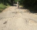 Многие годы состояние дороги ужасающее. Очень много глубоких ям. На машине можно проехать с трудом, в следствии этого такси ехать отказывается, мамам с колясками просто не осилить прогулку с детьми, старики бояться вызывать Скорую Помощь, зная что она не доедет! Пишем и просим починить участок дороги каждый год. В этом году на ремонт выделены средства и ремонт начался (номера домов 1-61). НО! Минуя наш участок дороги (номера домов 74-84), который в более ужасном состоянии.