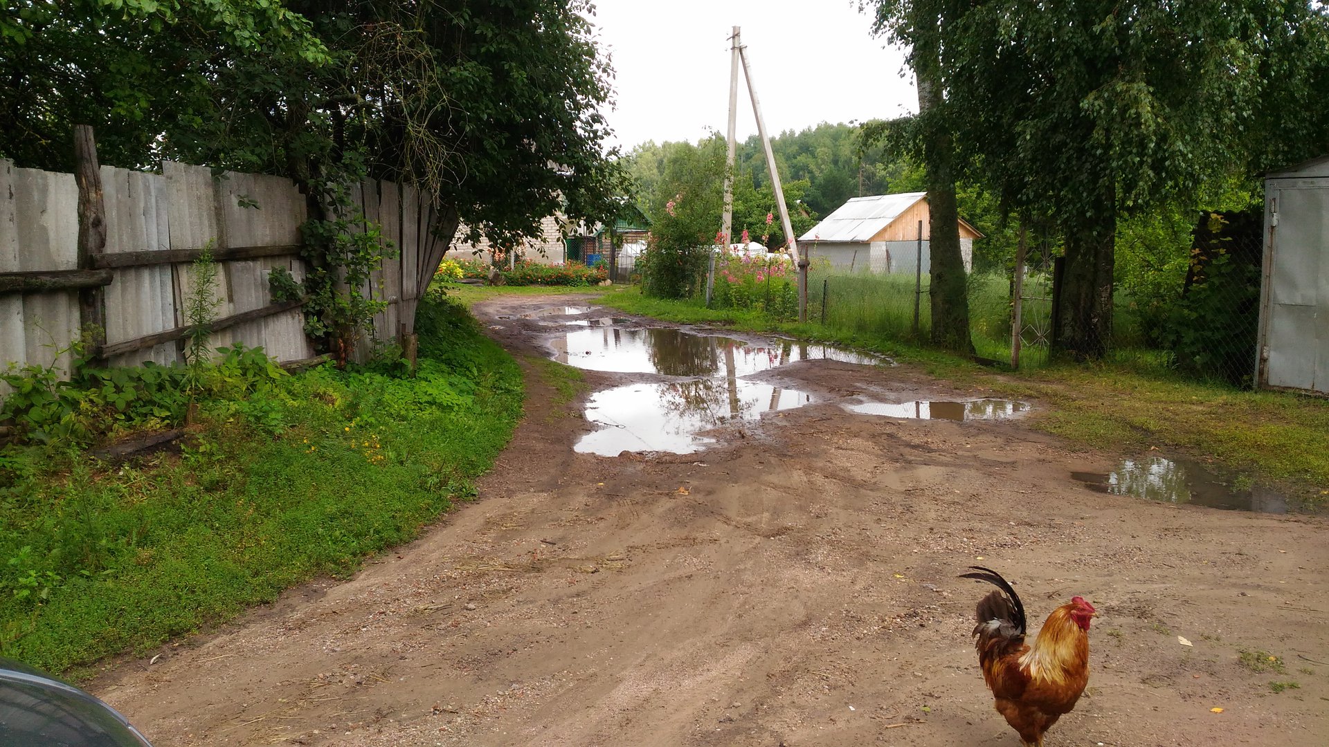 Монастырщина смоленская область фото