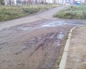 Дорога вся в грязи, невозможно пройти! В дождливый день собирается огромная лужа, а в сухую погоду лужа никогда не высыхает. Администрации города стоит обратить на это внимание, рядом находится школа, ученики всевозможными путями обходят лужи и грязь, но не всегда получается удачно, поскольку по дороге ездят автомобили. Также периодически на данном участке имеет место утечка из подземных коммуникаций, которую соответствующие службы ремонтируют, но не убирают за собой, грязь и песок накапливаются из года в год. В осенние и весенние дни по улице невозможно пройти, так как на данном участке тротуаров не предусмотрено. Необходимо вычистить дорогу от грязи и песка; ямы, где собирается вода - залатать; траву подстричь. Дополнительно, надо решить вопрос с тротуаром. Это не безопасно, когда ученики идут в школу по дороге.