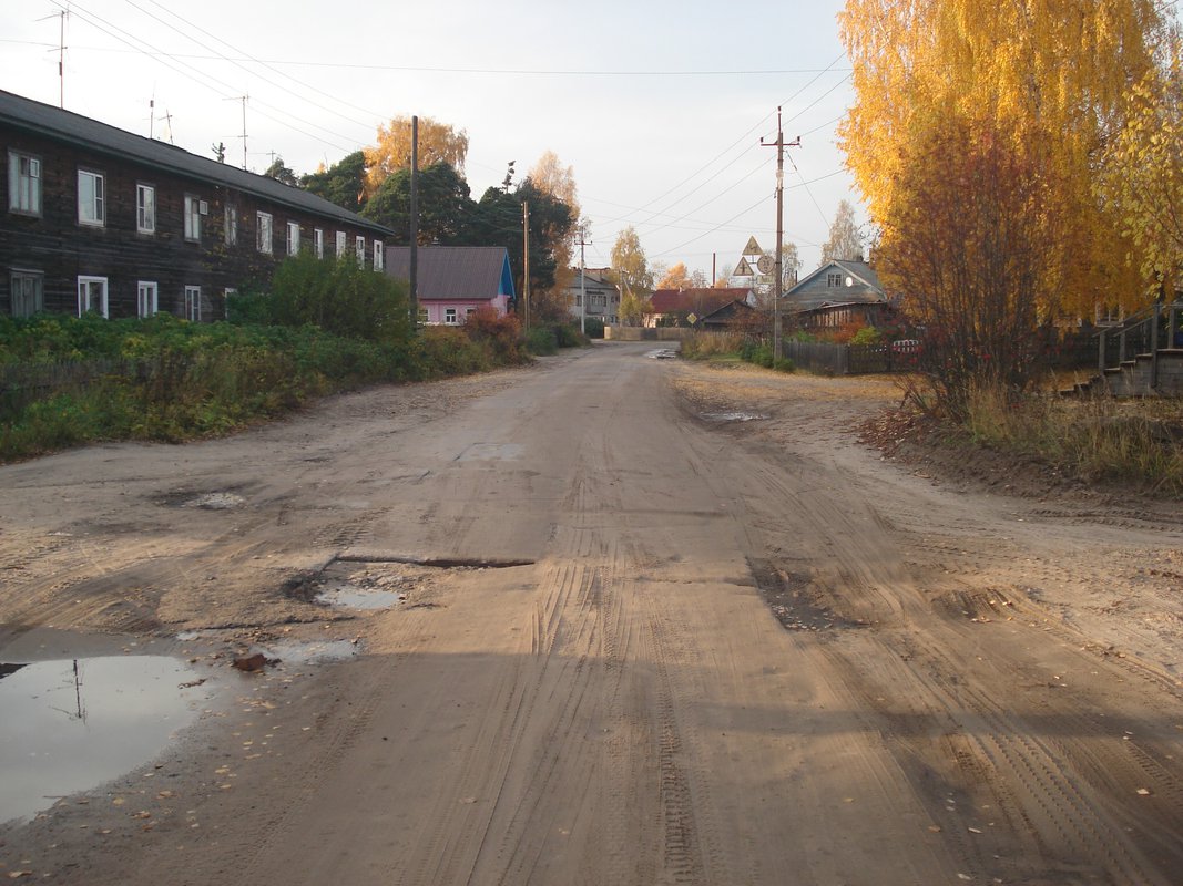 шенкурск,ул. деревня бобыкинская шенкурский район. группа старый шенкурск. шенкурск. город шенкурск архангельская губерния.