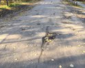 Дорога, ведущая к Районному дому Культуры в таком состоянии. Это позор.