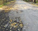 Дорога, ведущая к Районному дому Культуры в таком состоянии. Это позор.