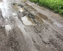 Деревня Митино Калязинский район с/п Семендяевское, улицы Луговая, Старомитинская. Неоднократно обращались в администрацию поселения Семендяевское (глава поселения Л.А.Кондратьева), к главе Калязинского района по вопросу состояния дорог в деревне. У администрации ответ один: дороги находятся в удовлетворительном состоянии.Последнее обращение было к губернатору Тверской области с приложением всех поступивших ответов. Пришел ответ, что данный вопрос спустили опять в администрацию Калязинского района!!!! Но сути это не меняет, 4 км на легковом автомобиле преодолеваем за 30-40 минут. убивая машину и свое здоровье.