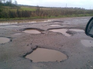 None, деревня Волковицы