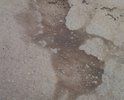 Первоначально администрация обещала отремонтировать данную дорогу до 1 августа 2017 года. До сих пор даже минимального ямочного ремонта не произведено. Более того, на этой дороге расположены промышленные предприятия (почему-то на землях сельхозназначения,и грузовые автомобили которые следуют с этих или на эти предприятия окончательно добивают эту дорогу. К тому же на территории этих предприятий нет твердого покрытия и дорога постоянно грязная. В ответ на обращение на портале "Добродел", пришел ответ, что дорога стоит в очереди на ремонт в 2018 году. Хорошо, а до этого времени что делать?!  Уже не осталось такой траектории, включая обочины, чтоб можно было проехать и не попасть в одну из ям (до 20 см глубиной, кстати). Убедительно прошу принять меры. Спасибо