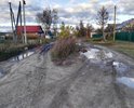 Дорога в ужасном состоянии,примыкающие улицы тоже в плачевном состоянии.На фото видно,что растут заросли,как будто в глуши находимся.В 1992-1995 году была сделана подушка для асфальта.Но асфальт так ни кто не проложил.В дождливую погоду по улице ни том что пройти,проехать не возможно.