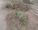 Ужасное состояние дороги на две деревни Верхние Малюганы и Окишевы, проживает более 60 семей. Гора проблемная. По осени и весне не могут проехать ни скорая, ни пожарная, ни жители. 
Люди закупают строй-лом за свои деньги… чтобы она не уплывала…глава Кирово-Чепецкого района не дают даже грейдер.