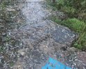 Я ежедневно хожу пешком от улицы Невской 58 до станции Востряково. Улица не освещена, плюс ее просто нет!!! Там навалены булыжники, кирпичи. Жители пытаются проложить из битого кирпича хоть подобие тропинки. А ведь это ГОРОД ДОМОДЕДОВО!!! Когда вечером возвращаемся от станции все жители идут с фонариками, чтобы не убиться по дороге. На письменное обращение к меру города - ответа не последовало никакого!!! Что делать? К кому обращаться непонятно, если мер города не реагирует!!!