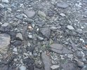 Я ежедневно хожу пешком от улицы Невской 58 до станции Востряково. Улица не освещена, плюс ее просто нет!!! Там навалены булыжники, кирпичи. Жители пытаются проложить из битого кирпича хоть подобие тропинки. А ведь это ГОРОД ДОМОДЕДОВО!!! Когда вечером возвращаемся от станции все жители идут с фонариками, чтобы не убиться по дороге. На письменное обращение к меру города - ответа не последовало никакого!!! Что делать? К кому обращаться непонятно, если мер города не реагирует!!!