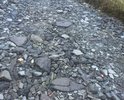 Я ежедневно хожу пешком от улицы Невской 58 до станции Востряково. Улица не освещена, плюс ее просто нет!!! Там навалены булыжники, кирпичи. Жители пытаются проложить из битого кирпича хоть подобие тропинки. А ведь это ГОРОД ДОМОДЕДОВО!!! Когда вечером возвращаемся от станции все жители идут с фонариками, чтобы не убиться по дороге. На письменное обращение к меру города - ответа не последовало никакого!!! Что делать? К кому обращаться непонятно, если мер города не реагирует!!!