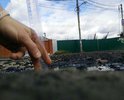 с весны до осени 2017 года отправлял заявки на ДОБРОДЕЛ, никакой реакции не последовало, сначала жаловались на плохую погоду, а сейчас просто игнорируют заявку