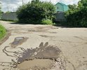 с весны до осени 2017 года отправлял заявки на ДОБРОДЕЛ, никакой реакции не последовало, сначала жаловались на плохую погоду, а сейчас просто игнорируют заявку