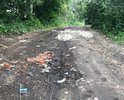 Дорога находится в неудовлетворительном состоянии, разбита, ямы, колеи, выбоины, в дождливую погоду образуются промоины, лужи, затруднено движение пешеходов и автотранспорта (в том числе транспорта специального назначения, скорая, аварийные службы)