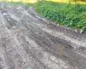 В деревне отсутствует дорога, твердого покрытия нет. Направление, данная "дорога" меняет из года в год. Почва-глина, соответственно большие колеи и ямы.