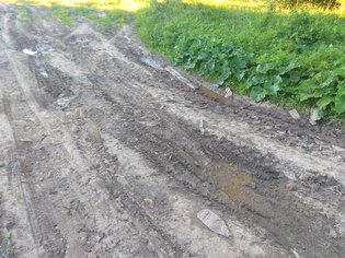None, деревня Шаньково