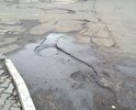 Дыры на дороге и плохое состояние разметки зебры