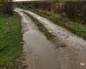 грунтовая убитая дорога - часть улицы, на которой расположены жилые дома. Легковая машина в распутицу проехать не может. Администрация ничего не предпринимает, несмотря на жалобы