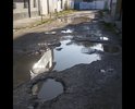 Проживаю на этой улице с 2000 года. Дорога не ремонтировалась. А по словам старожил, дорога последний раз ремонтировалась в 70-х годах прошлого века. По ней не то, что ездить, ходить опасно.