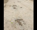 Разбитый участок дороги