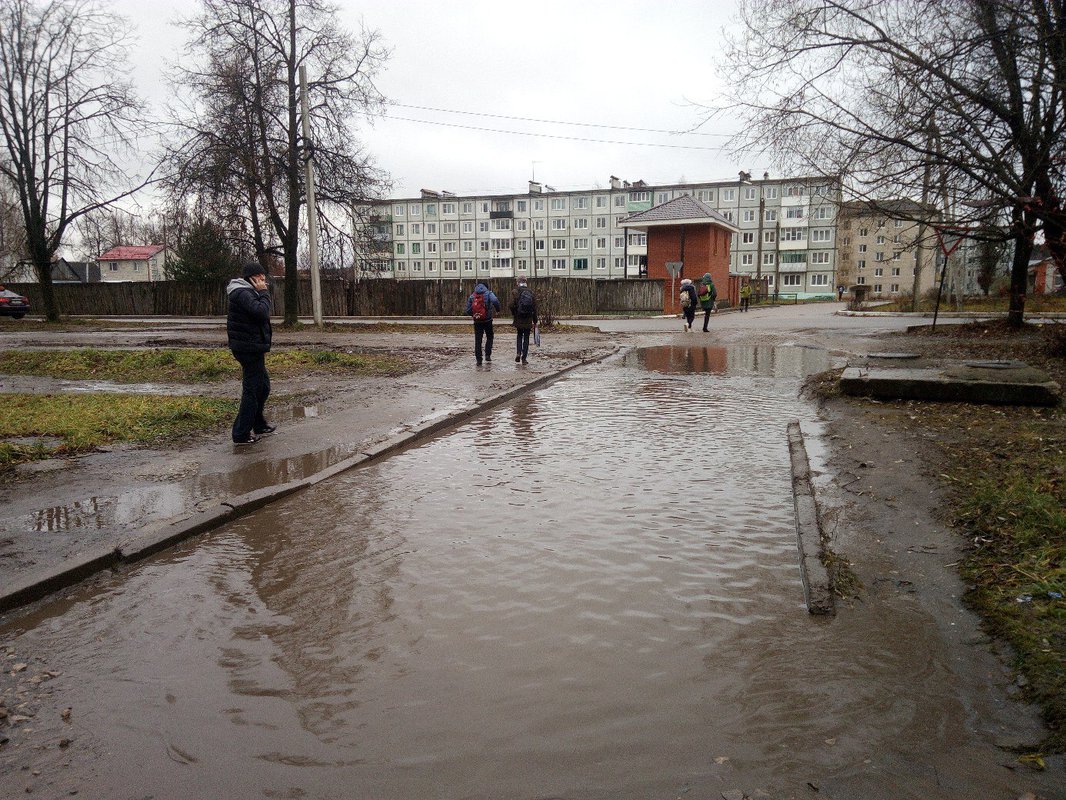 подвесной мост в людиново