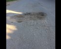 Многочисленные ямы , тротуаров, разметки нет. Асфальт местами треснутый , зиму не переживет.