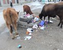 Асфальта нет,посередине мусор и люк