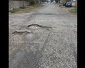 Вся в ямах, оживленная дорога, о разметке и тротуарах молчу