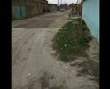 Асфальт в розыске
