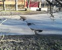 Такие ямы на протяжении всего переулка Чкалово! По данному участку дороги проходит маршрут общественного транспорта! Отсутствует освещение!