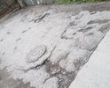 На участке Таврического проезда глубокие трещины, ямы и выбоины в асфальте; асфальт крошится и размывается.
