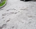 На участке Таврического проезда глубокие трещины, ямы и выбоины в асфальте; асфальт крошится и размывается.