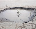 Вся улица продавлена камазами и лужи по колено во время дождя.