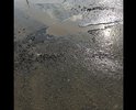 Дорога находится в неудовлетворительном состоянии, разбита, ямы, колеи, выбоины, в дождливую погоду образуются промоины, лужи, затруднено движение пешеходов и автотранспорта (в том числе транспорта специального назначения, скорая, аварийные службы)