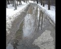 Люди ходят по лужам. Дорожку не ремонтировали лет 20. Дети утром ходят в садик, родители на работу этой дороги. Без резиновых сапог не возможно пройти.