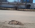 Асфальт сошёл со снегом и обнажились следы бывших цивилизаций