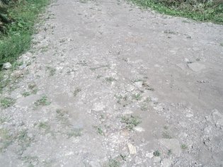 None, деревня Княгинино