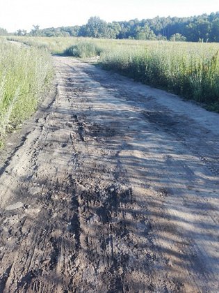 None, Южный планировочный район