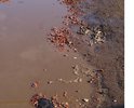 Это центральная дорога на которой находится школа и садик. По этой дороге ходят дети. По неизвестным причинам улица Титова недоасфальтирована... Так же по этой дороге идут на работу и обратно работники Искожа и Автозавода...