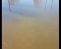Улица Молодёжная превратилась в канал. Летом дорога вся в ямах, осенью непролазная грязь, зимой не чистят, а весной по ней можно плавать!
